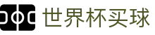 FIFA世界杯买球中国官方门户 · 在线登录与官方赛事入口